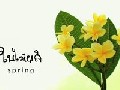 /a7e28c8020-spring-in-thailand-and-cambodia