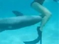 http://www.vidonna.com/1ed1e3b118-liebestoller-delfin