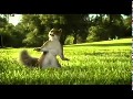 /631321a8d2-kit-kat-advert-squirrel