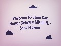 Same Day Flower Delivery in Miami FL - Send Flowers