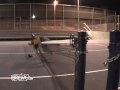 Rollerblader Tennisnetz Sprung Fail