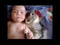 Cats and children, positive for whole day