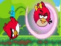 Angry Bird Forest Adventure