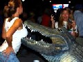 http://www.welaf.com/13568,wow-a-crocodile-is-biting-the-girl-s-boobs.html