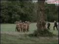Benny Hill Policewomen get uniforms ripped off